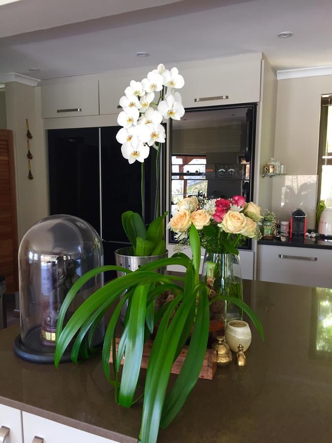 Protea Point Bed & Breakfast Cape Town Exterior foto